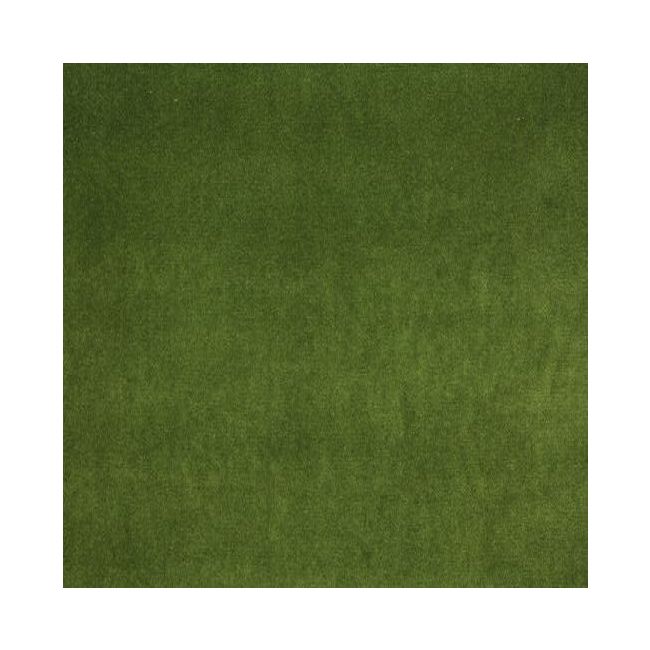 Sintra Moss