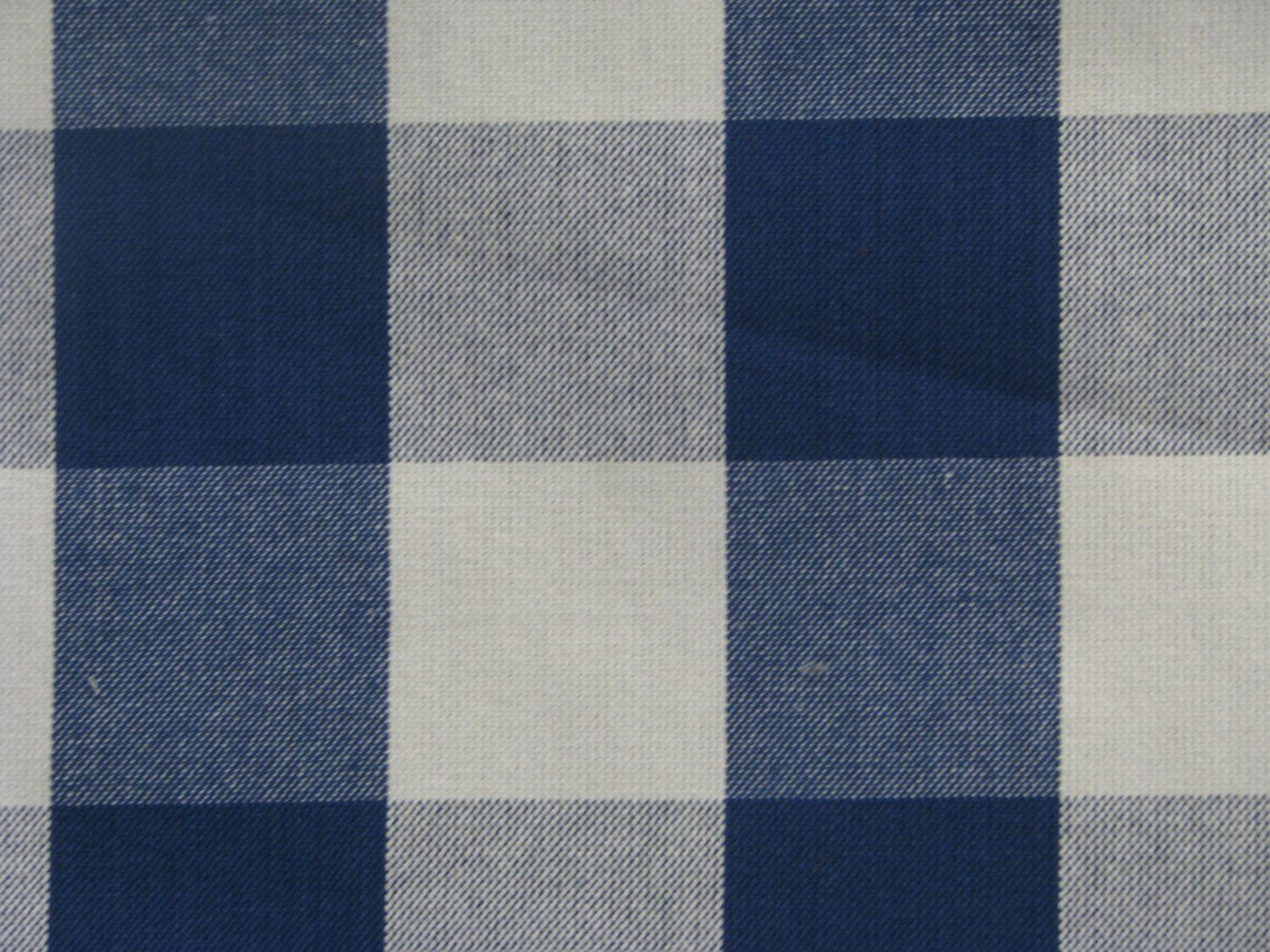 Buffalo Cotton Check  Blue