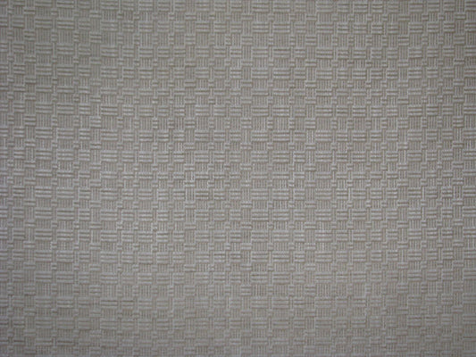 Exposed Ecru Chenille Velvet fabric